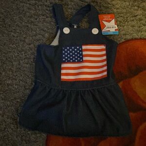 Fourth of July pet dress